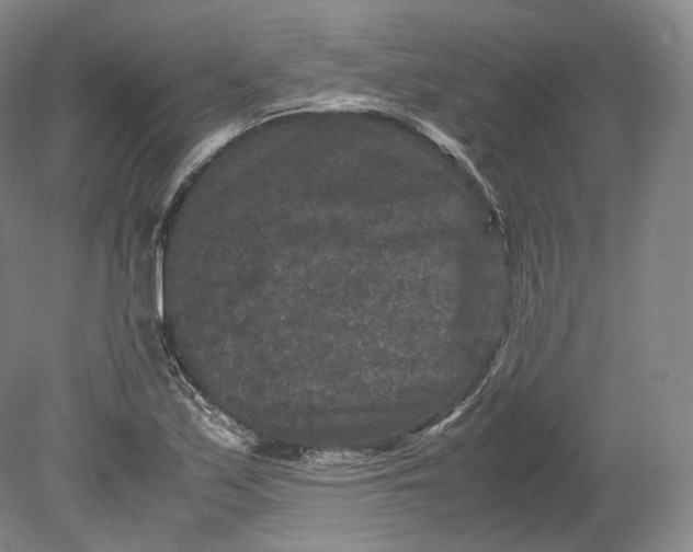 X0000080811171200701021308