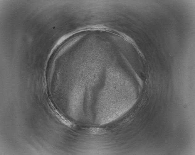 X0000080811176200701021308