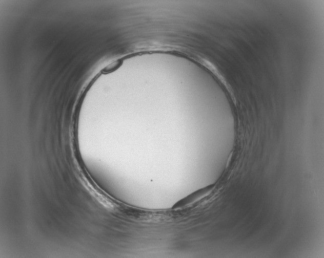 X0000080811187200701021308
