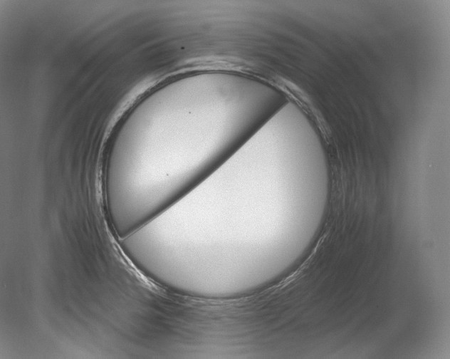X0000080811188200701021308