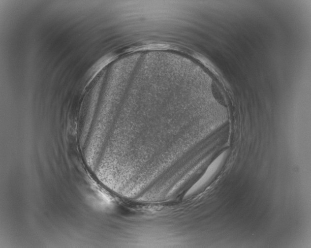 X0000080811193200701021308