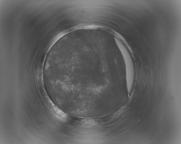 X0000080811194200701021308