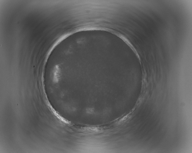X0000080811197200701021307