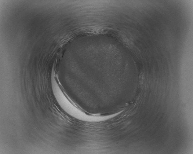 X0000080811202200701021307