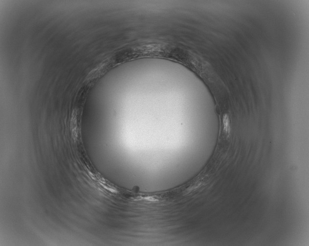 X0000080811203200701021307