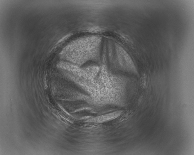 X0000080811205200701021307