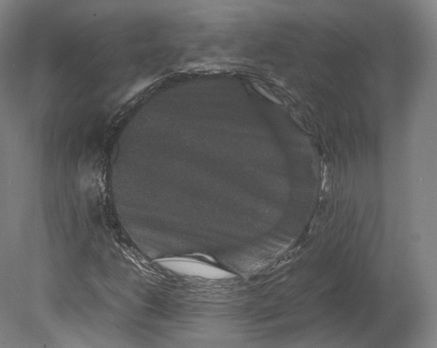 X0000080811206200701021307