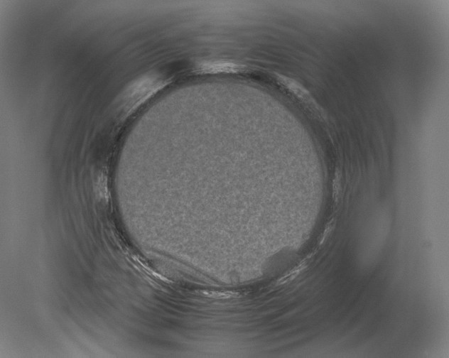 X0000080811209200701021307