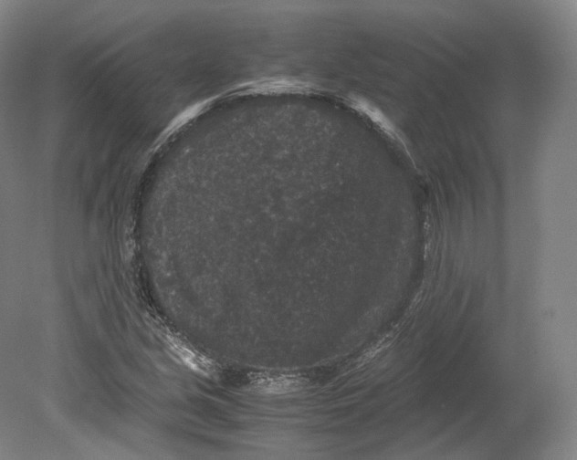 X0000080811213200701021307