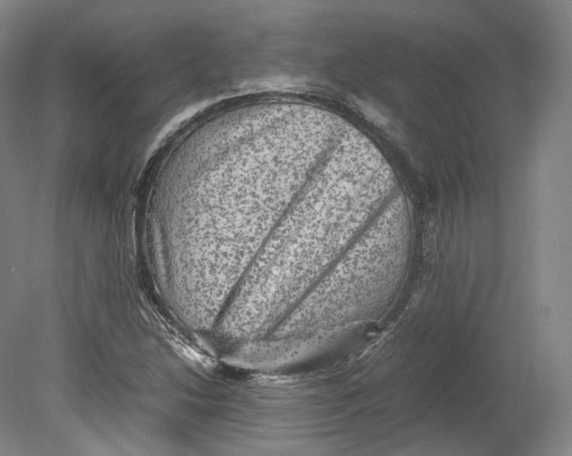 X0000080811214200701021307