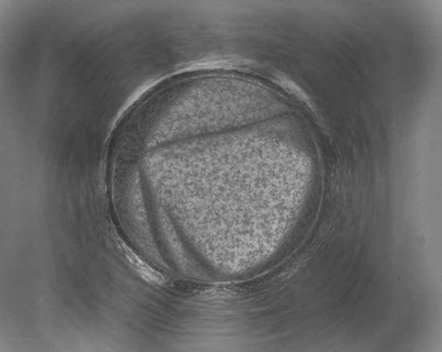 X0000080811216200701021307