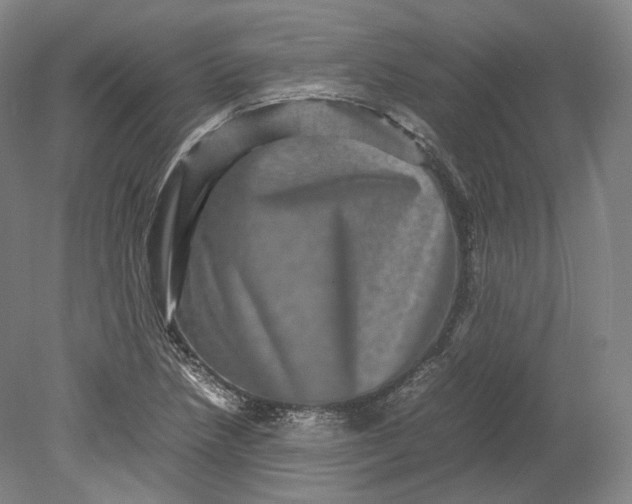 X0000080811218200701021307