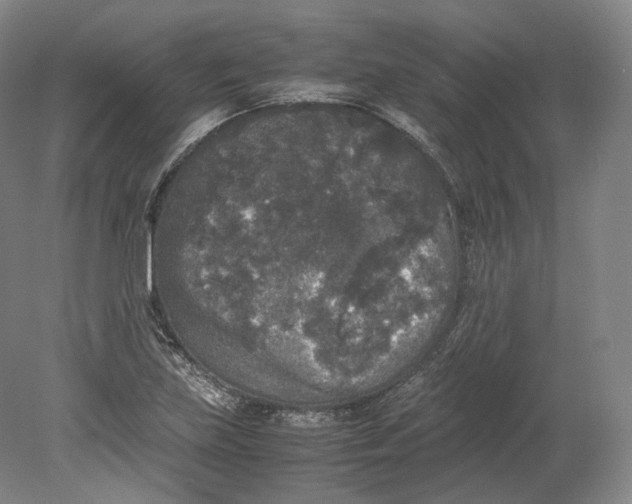 X0000080811219200701021307