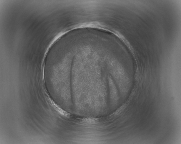 X0000080811224200701021307