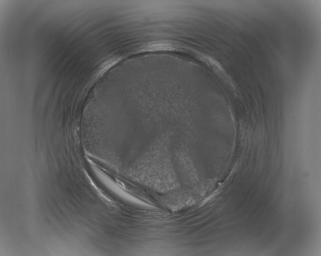 X0000080811225200701021307