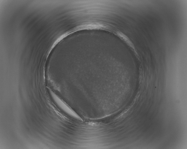 X0000080811226200701021307