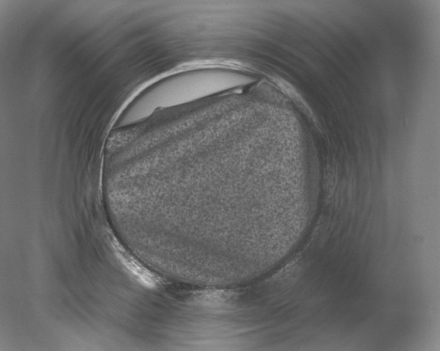 X0000080811228200701021307