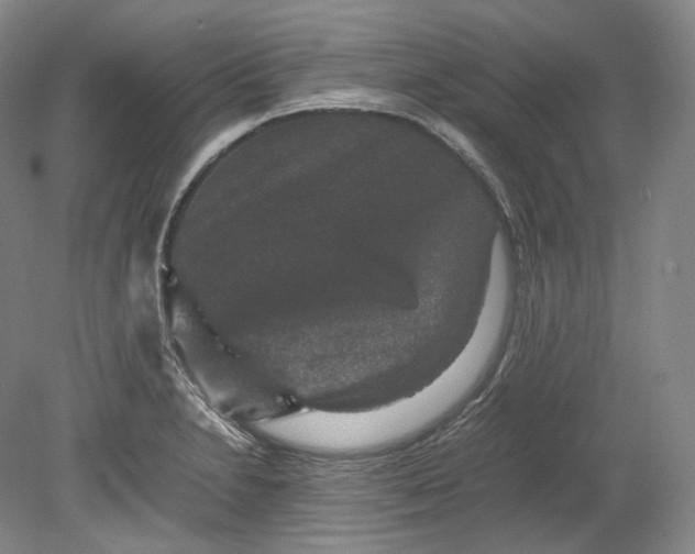 X0000080811230200701021307