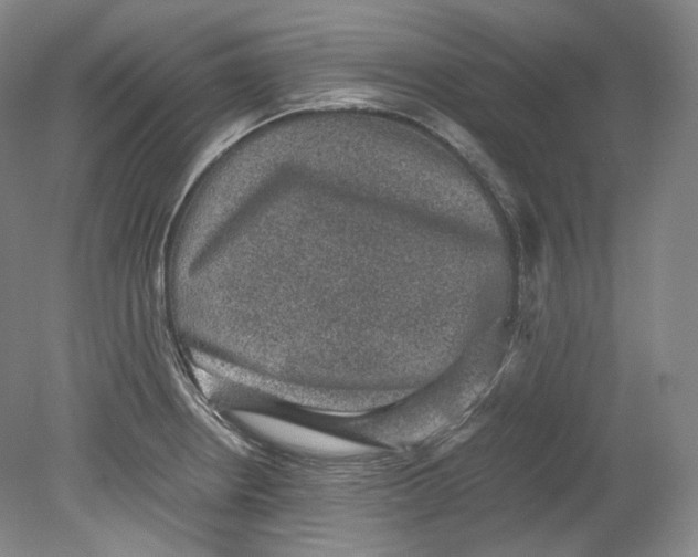 X0000080811234200701021307