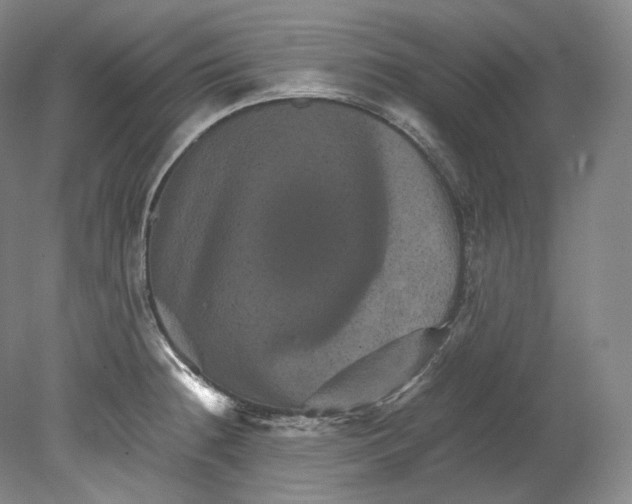 X0000080811236200701021307