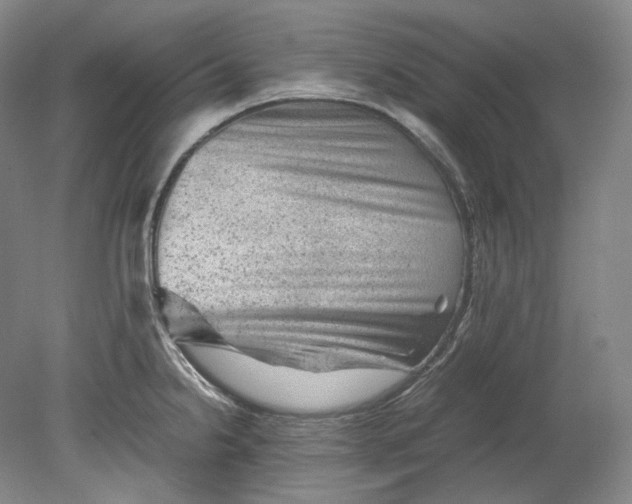 X0000080811238200701021307