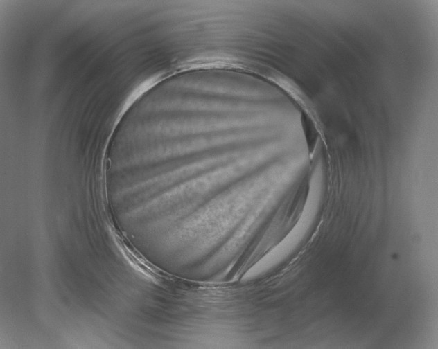 X0000080811242200701021307