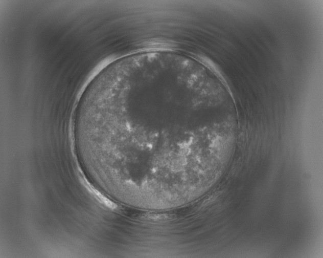 X0000080811243200701021307