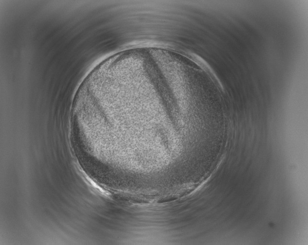 X0000080811244200701021307
