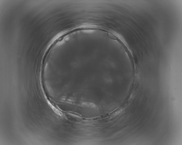 X0000080811245200701021307