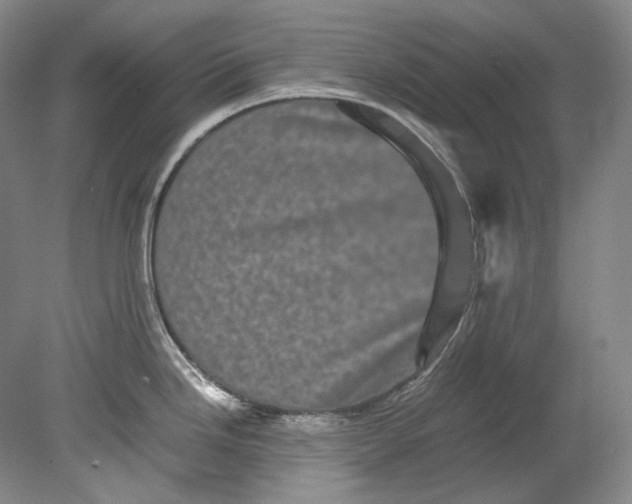 X0000080811246200701021307
