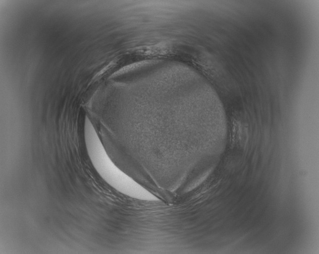 X0000080811250200701021307