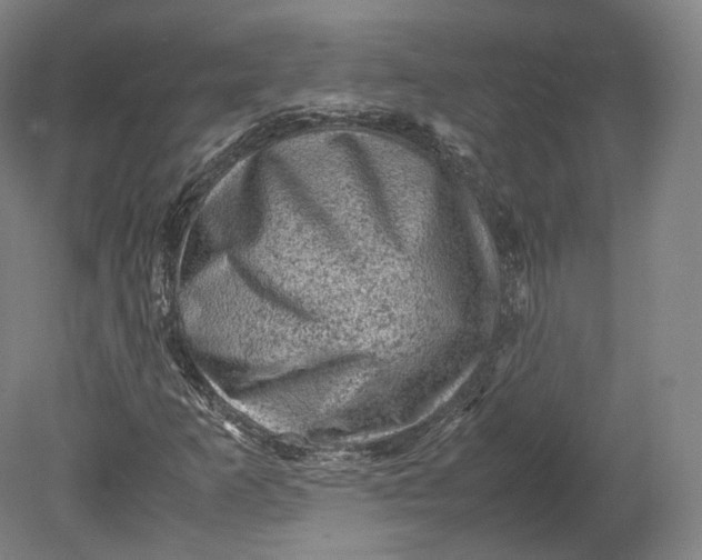 X0000080811253200701021307