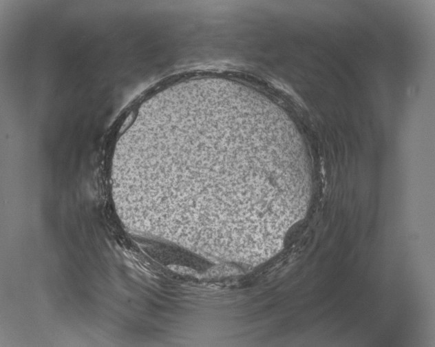 X0000080811256200701021307