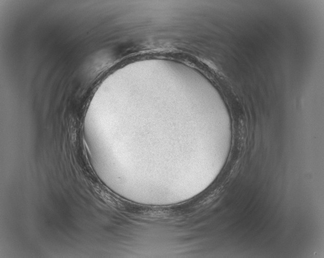 X0000080811257200701021306