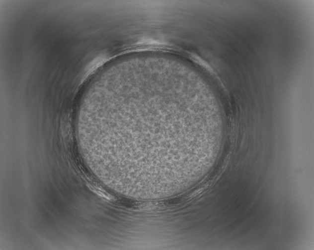 X0000080811259200701021306