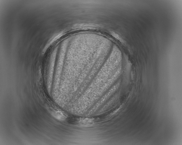 X0000080811261200701021306