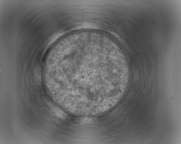 X0000080811266200701021306