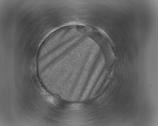 X0000080811268200701021306
