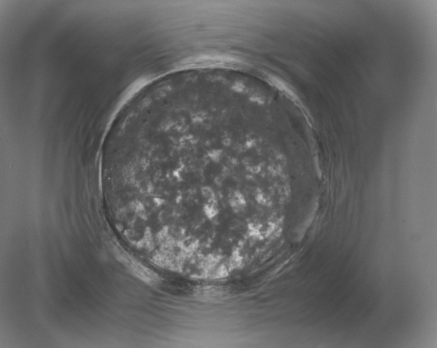 X0000080811275200701021306