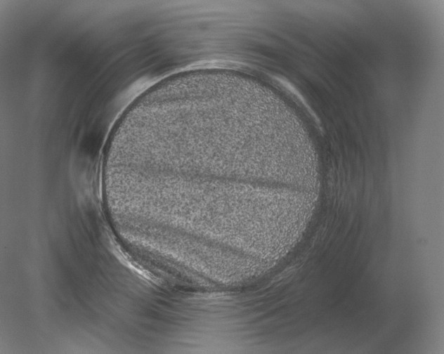 X0000080811276200701021306