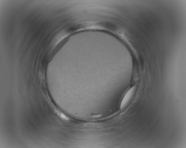 X0000080811281200701021306