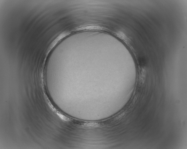 X0000080811282200701021306