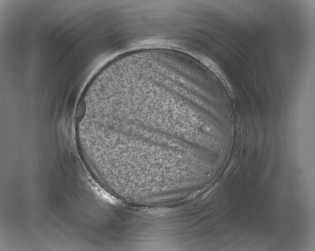 X0000080811288200701021306