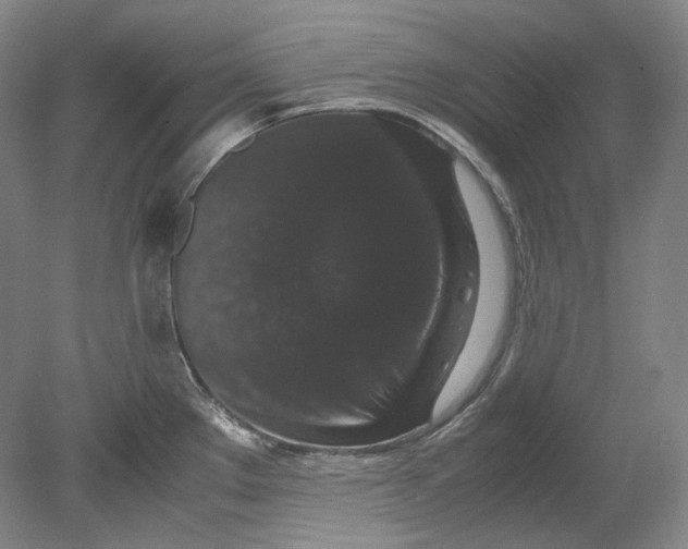 X0000080811289200701021306