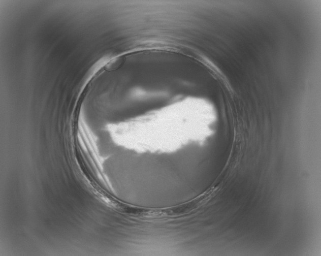 X0000080811291200701021306