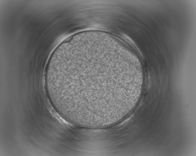 X0000080811292200701021306