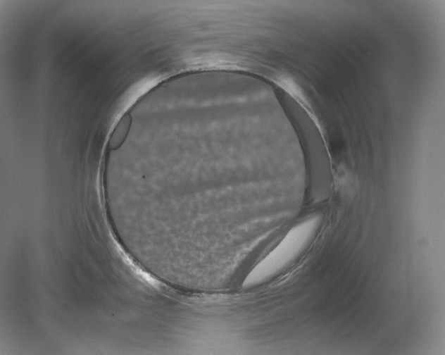X0000080811293200701021306