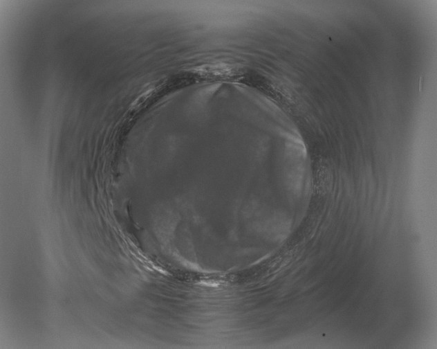 X0000080811297200701021305