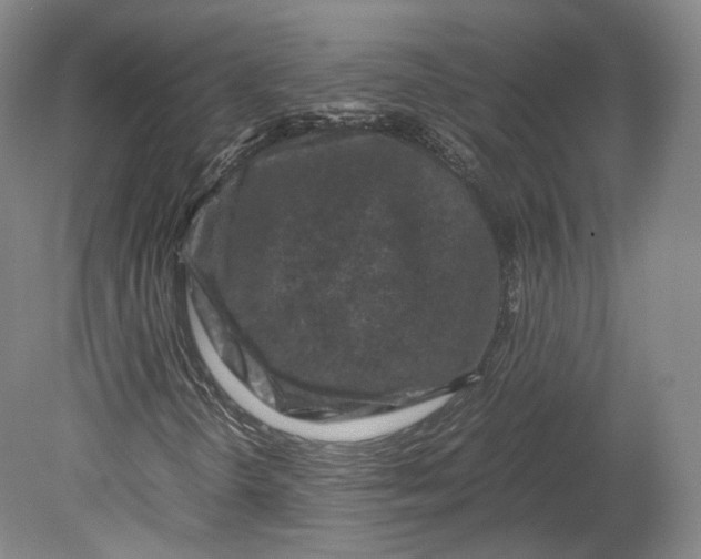 X0000080811298200701021305