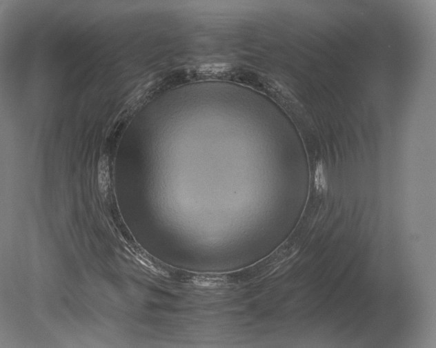 X0000080811299200701021305